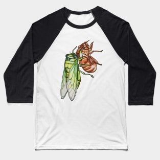 Cicada Emerging Baseball T-Shirt